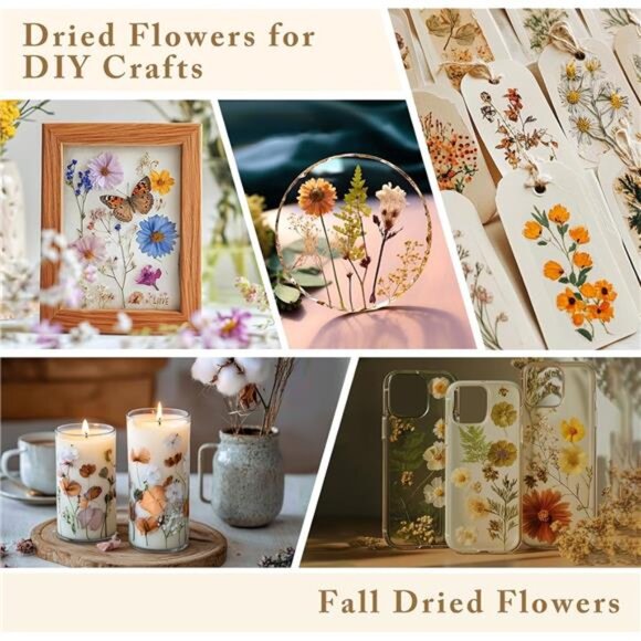 42 PCS Dried Leaves Pressed Leaves Dried Pressed Flowers for Craftsl Dried Leave - Picture 5 of 6